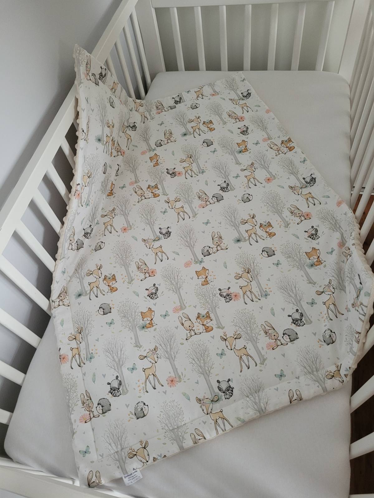 IMG-03e8a0ecacc3d905d2bee527f18ce946-V