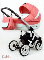 Raf-pol Lilly  Dahlia