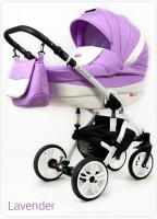 Raf-pol Lilly  Lavender