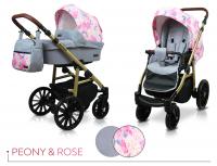 Raf-pol Aspero New Design