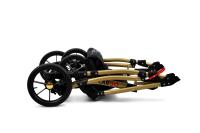 Raf-pol Largo ALU Gold frame