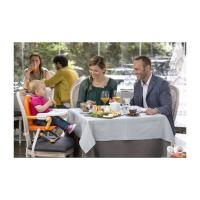 Chicco Podsedák prenosný Pocket Snack na stoličku