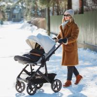 Joie Vinca + Ramble XL Signature