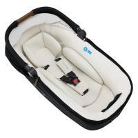 Nuna Set 2 Mixx Next + Nuna Cari Next