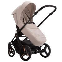 BEBETTO MONTI Stella