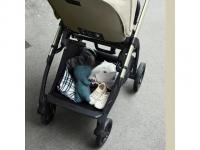 Inglesina Electa Darwin Recline 4v1