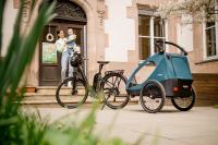 Hauck Dryk Duo cyklovozík 2v1 petrol