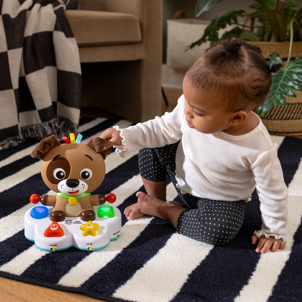 BABY EINSTEIN Hračka hudobná vzdelávacia Drum &amp; Learn Dean™ 6m+
