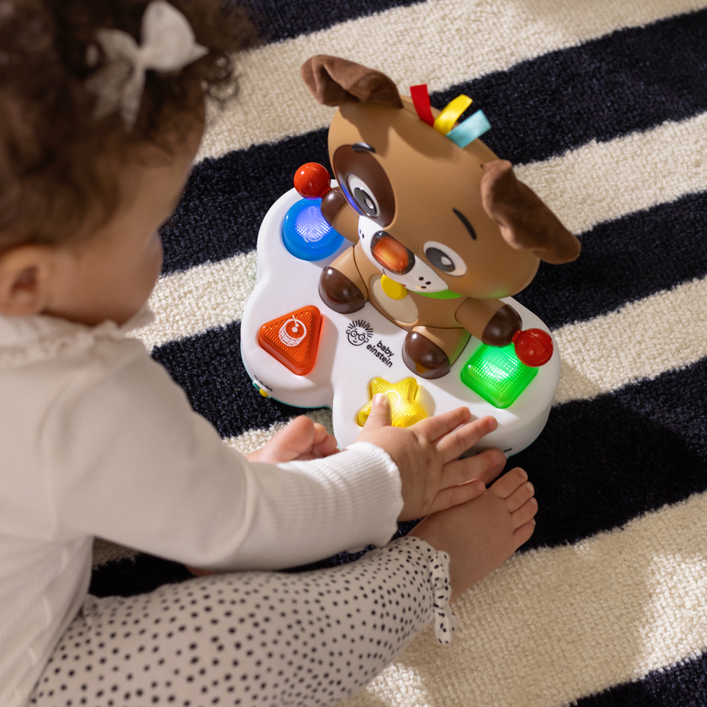 BABY EINSTEIN Hračka hudobná vzdelávacia Drum &amp; Learn Dean™ 6m+