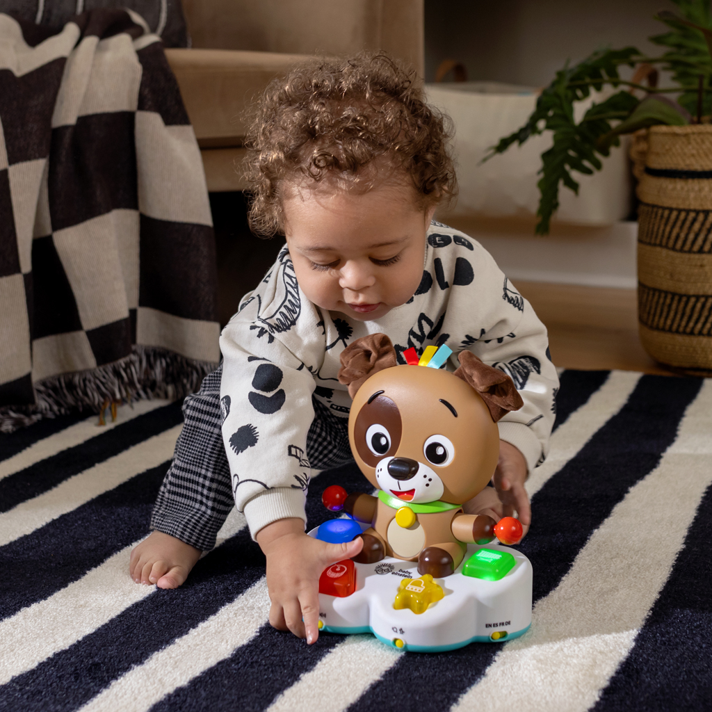 BABY EINSTEIN Hračka hudobná vzdelávacia Drum &amp; Learn Dean™ 6m+