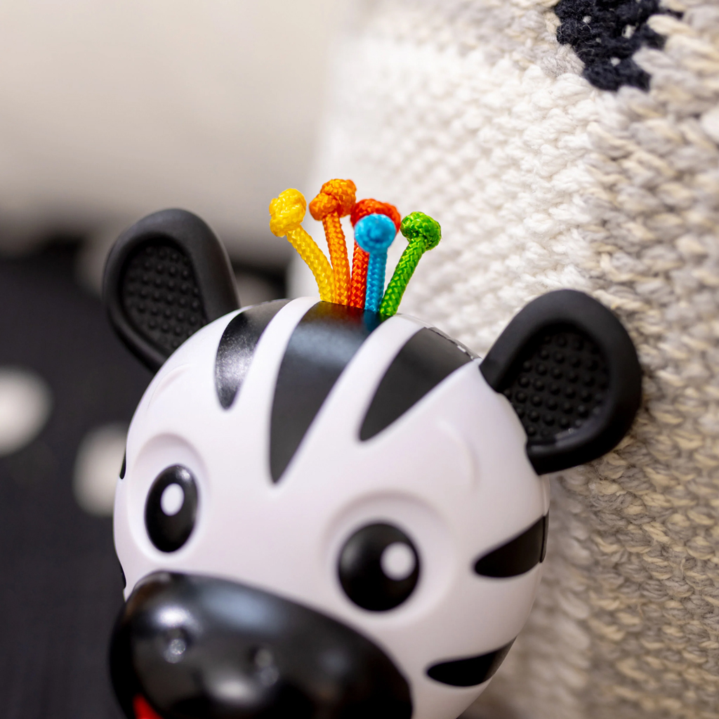 BABY EINSTEIN Hryzačka s hrkálkou zebra Zen™ Shake-a-Shape bez BPA 0m+