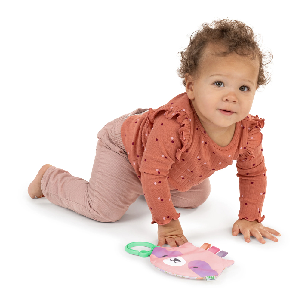 INGENUITY Hračka senzorická na C krúžku Crinklet™ mýval Deni 0m+