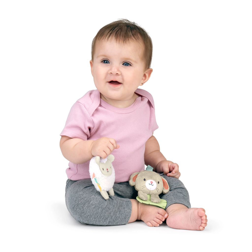 INGENUITY Hračka závesná na kočík Wonder &amp; Wood™ 0m+