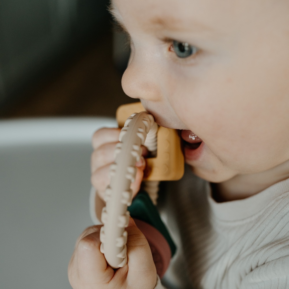 PETITE&amp;MARS Hryzačka silikónová Figures 0m+