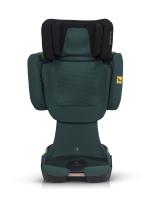 Cavoe Grand Prix Pro