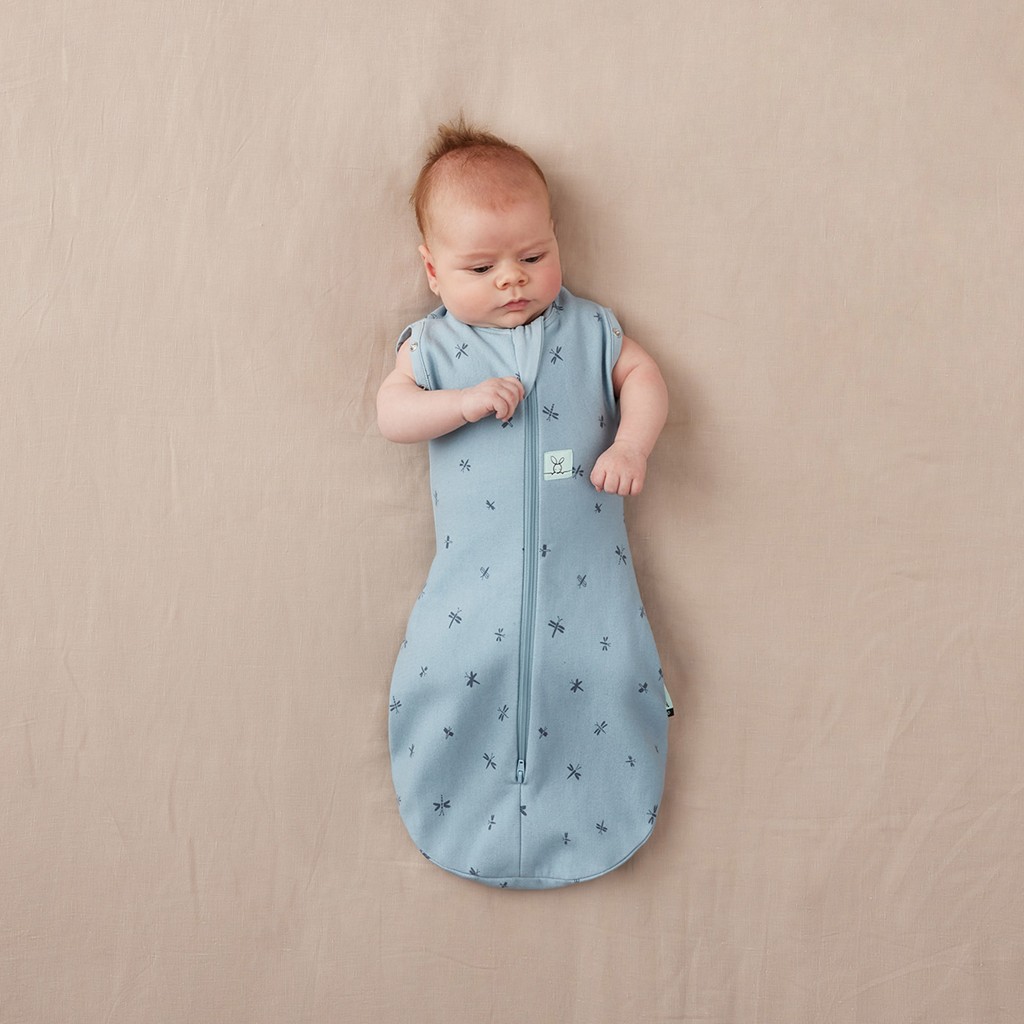 ERGOPOUCH Zavinovačka a vak na spanie 2v1 Cocoon Dragonflies 0-3 m, 3-6 kg, 1 tog