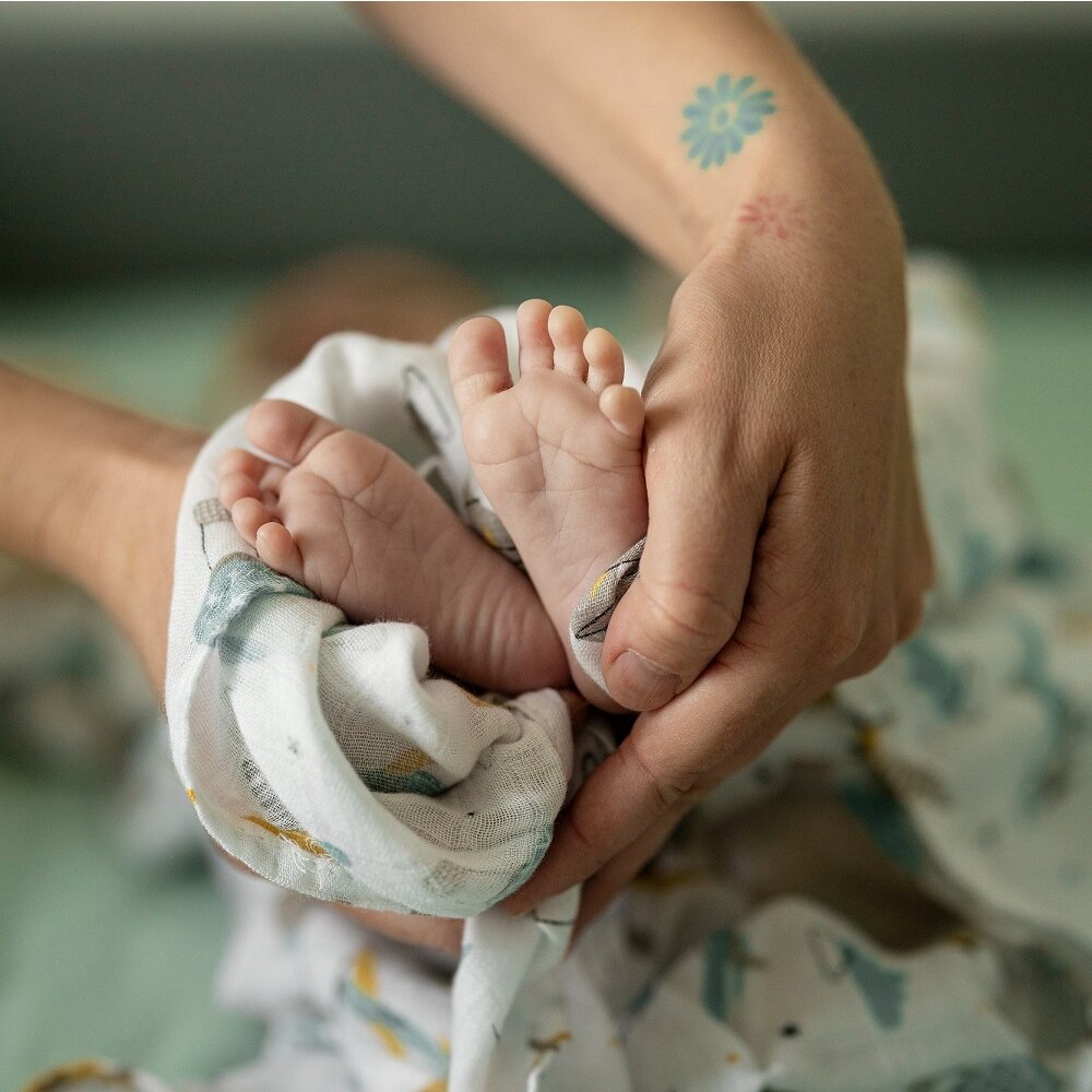 PETITE&amp;MARS Prikrývka bambusová mušelínová 2ks Misty Forest Fox 120 x 120 cm