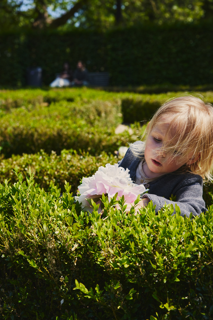 EASYWALKER SET Kočík 4v1 Harvey⁵ Premium Pearl Taupe XXL RWS + CYBEX Aton B2 i-Size