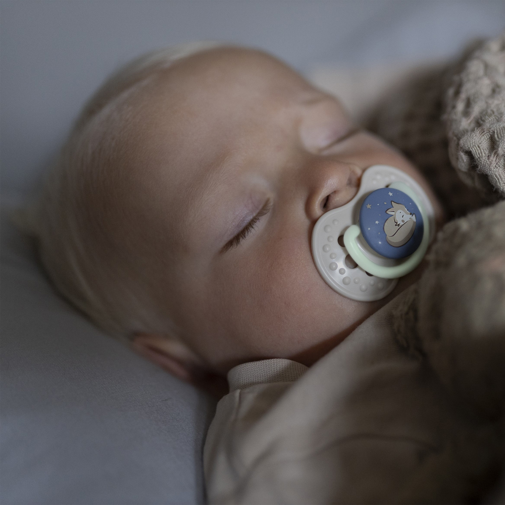 LOVI Cumlík dynamický silikónový Night&amp;Day 6-18m 2ks chlapec