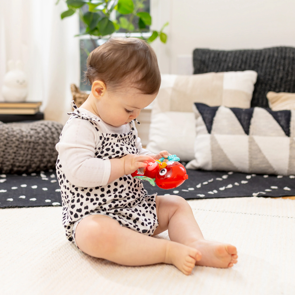 BABY EINSTEIN Hračka hudobná senzorická Roxy's Bright Flight™ 3m+