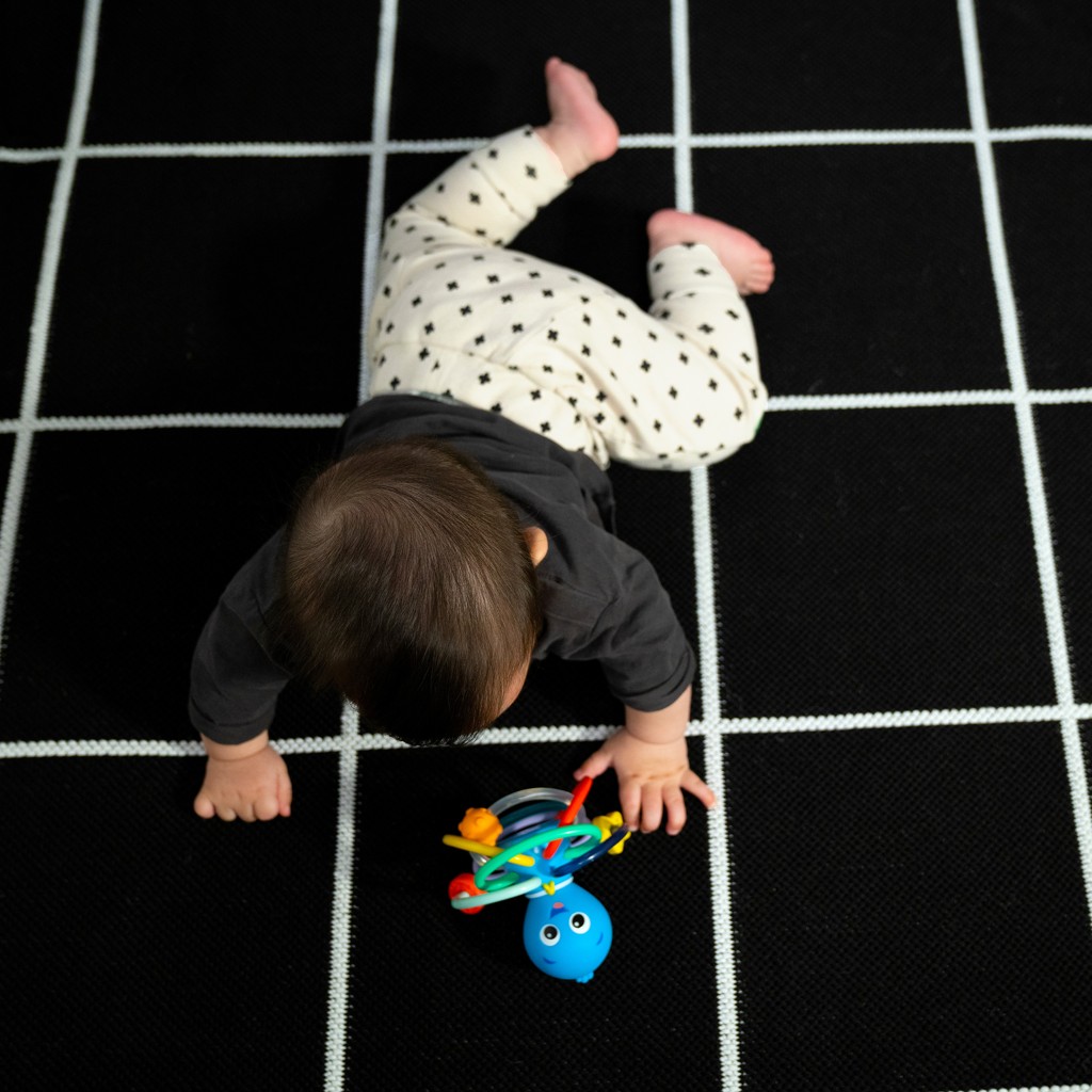 BABY EINSTEIN Hryzačka/hrkálka Opus’s Shake &amp; Soothe™ 0m+