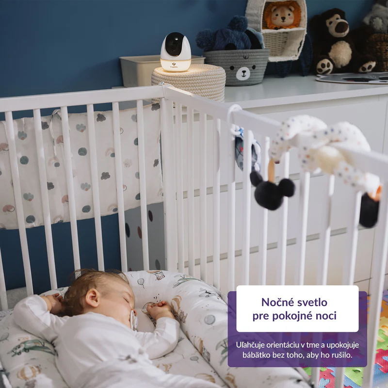 TRUELIFE Videopestúnka digitálna NannyCam R4 Pro