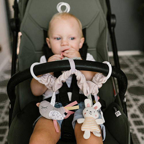 BABYONO Hrazdička závesná Nature 0m+