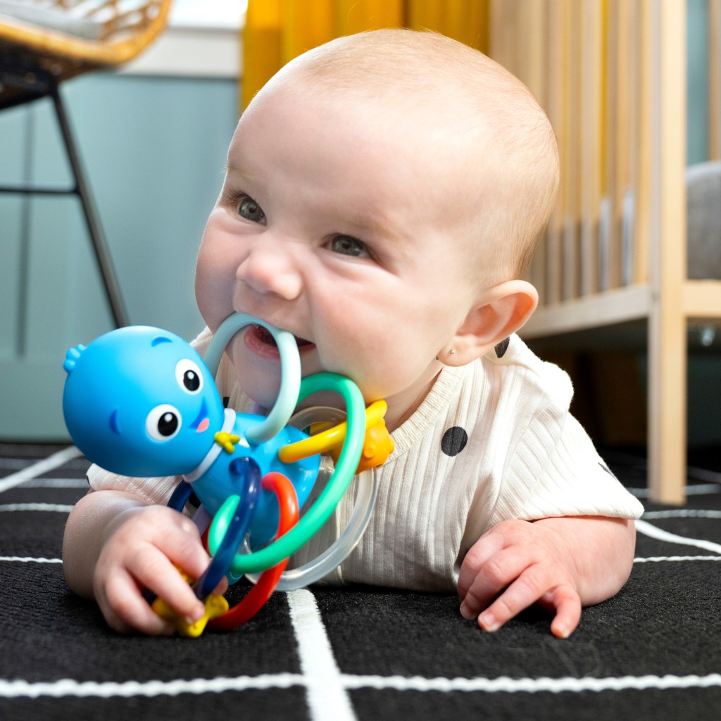 BABY EINSTEIN Hryzačka/hrkálka Opus’s Shake &amp; Soothe™ 0m+