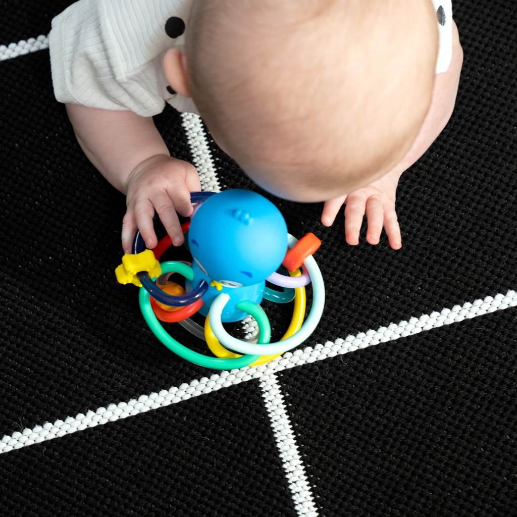 BABY EINSTEIN Hryzačka/hrkálka Opus’s Shake &amp; Soothe™ 0m+