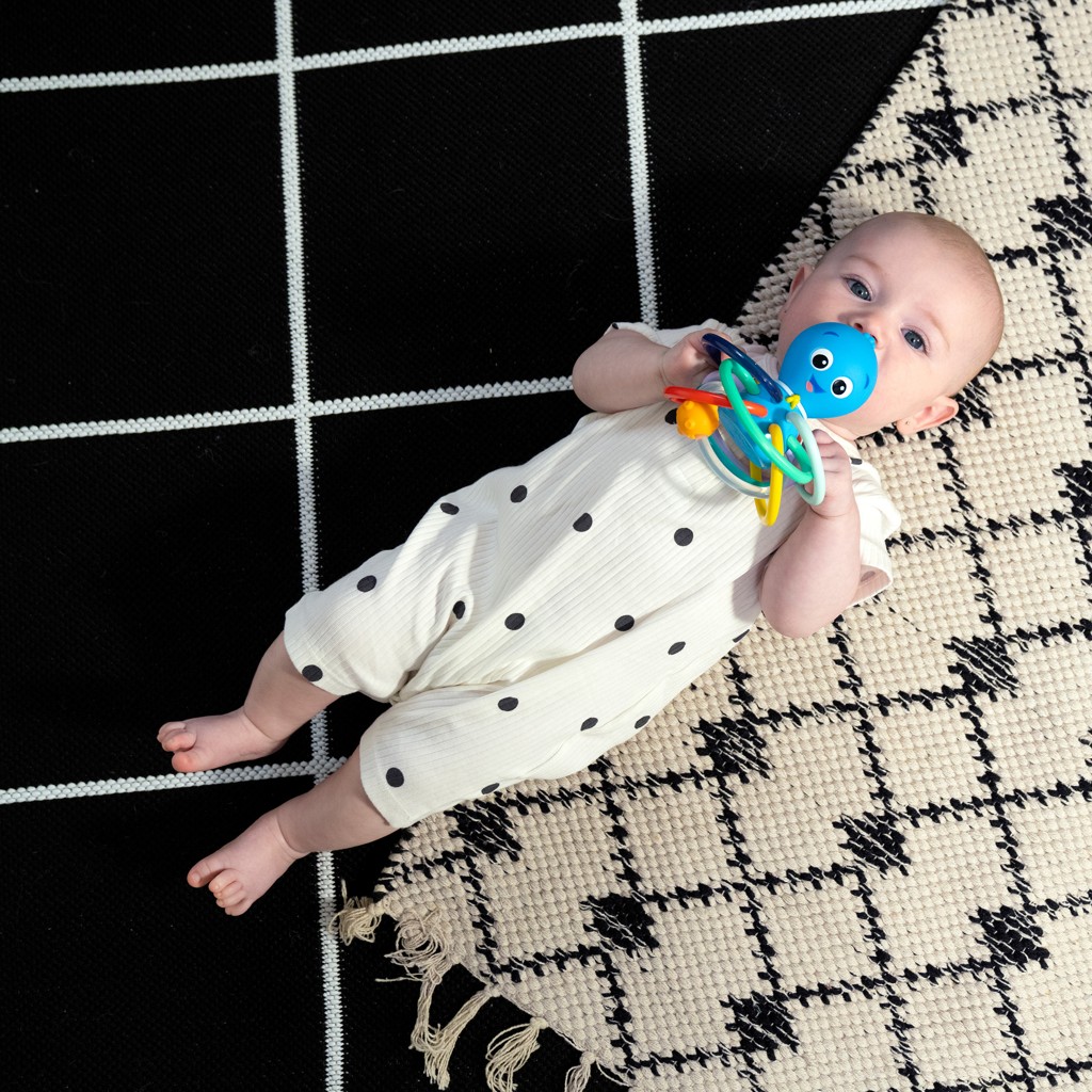 BABY EINSTEIN Hryzačka/hrkálka Opus’s Shake &amp; Soothe™ 0m+