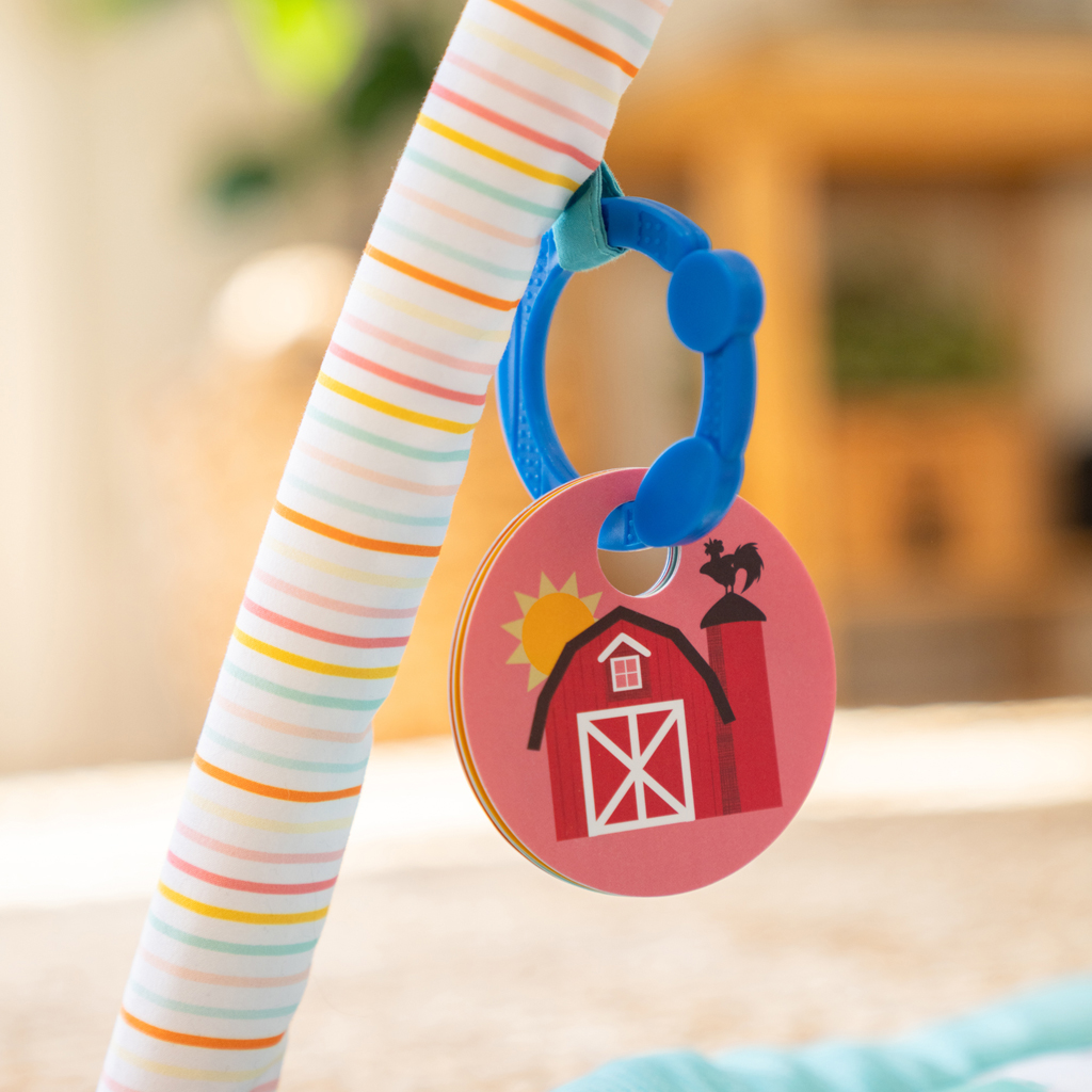 BABY EINSTEIN Deka na hranie pre rozvoj motoriky a zmyslov Happy Harvest™ Touch &amp; Feel, 0m+