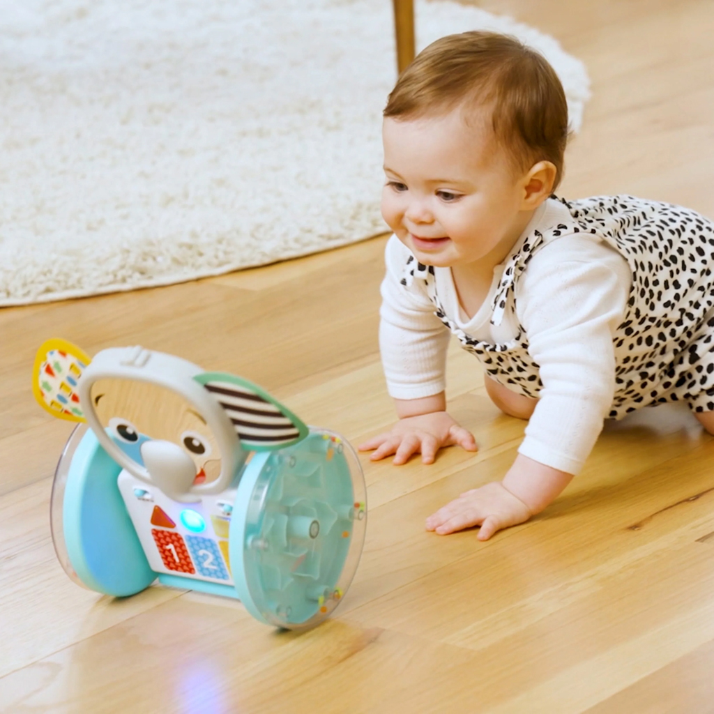 BABY EINSTEIN Hračka hudobná interaktívna Chase &amp; Tap Earl™ 6m+