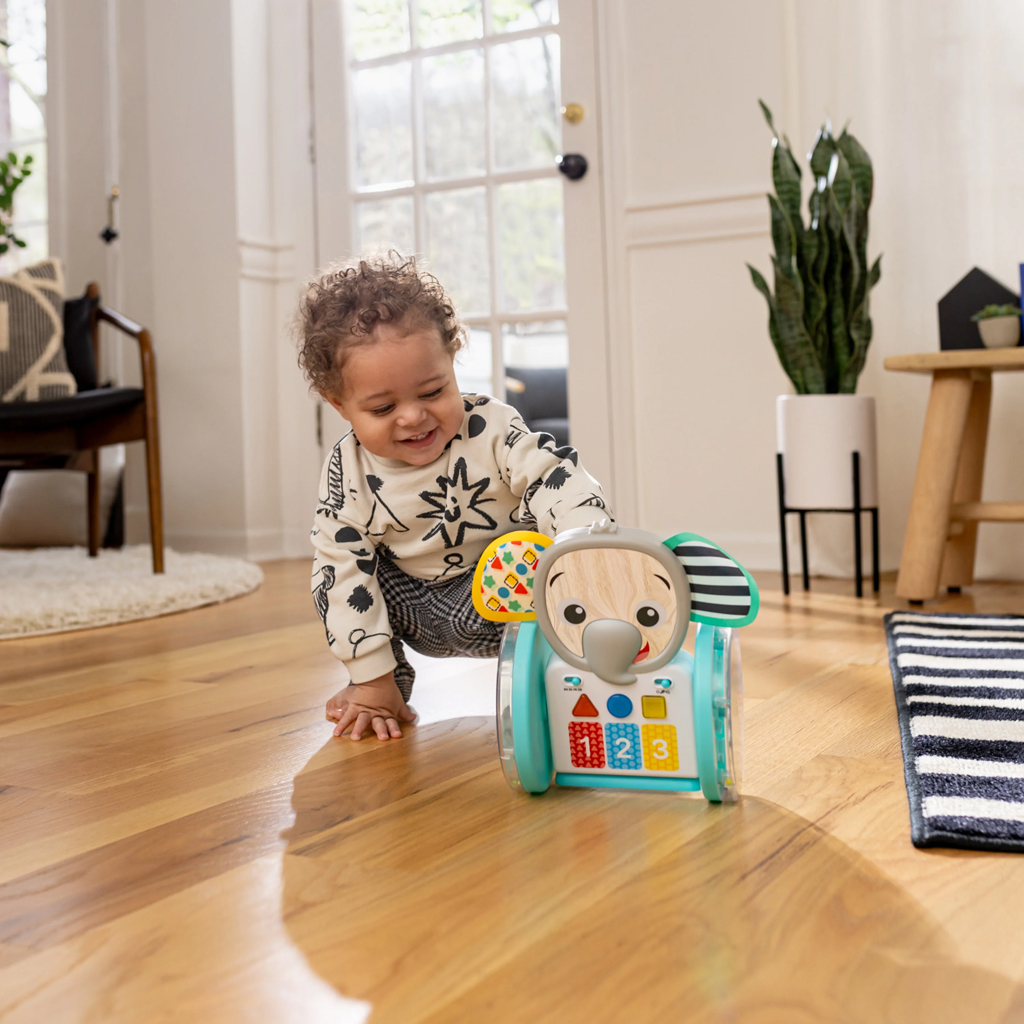 BABY EINSTEIN Hračka hudobná interaktívna Chase &amp; Tap Earl™ 6m+