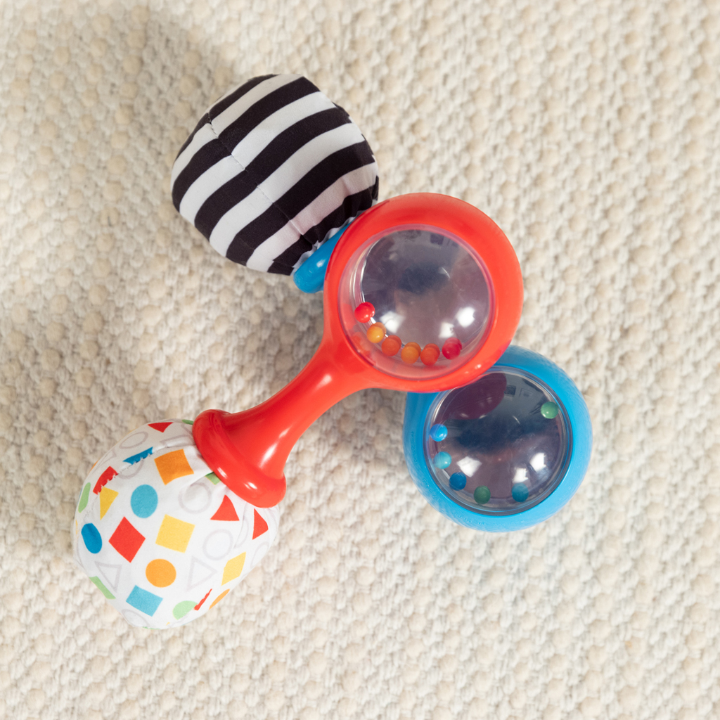 BABY EINSTEIN Hračka hrkálka Shake &amp; Groove™ 2ks, 3m+
