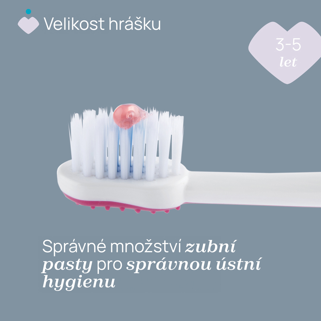 CHICCO Kefka zubná pre deti Hippo 3-6r