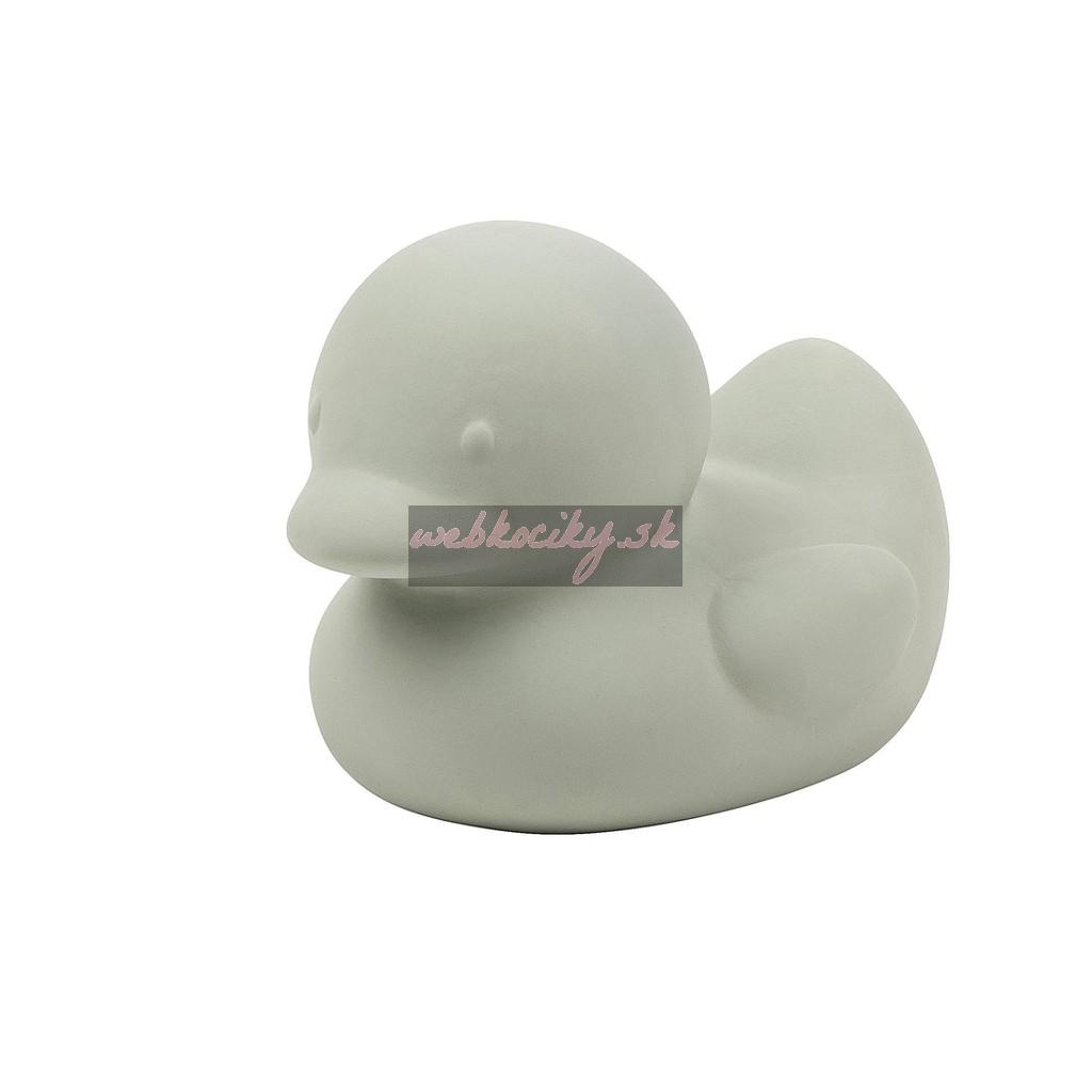 NATTOU Hračka do vody kačička Sage green 11 cm